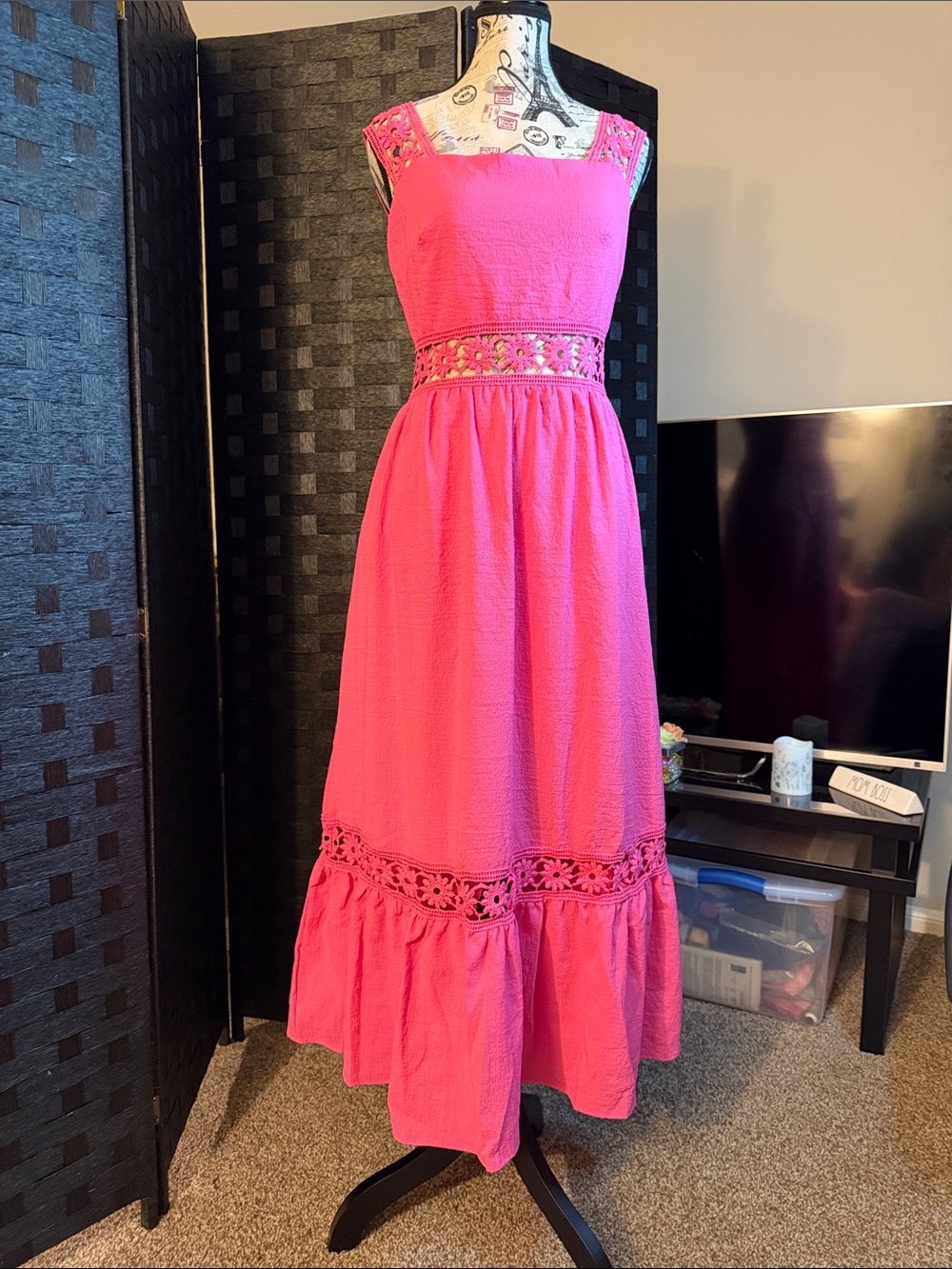 Pink Lace Trim Dress - Picture 3 of 6